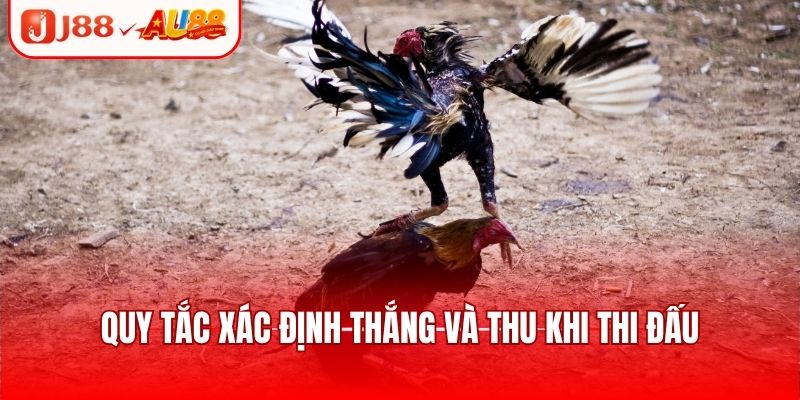 Đá Gà SV128 - Sảnh Giải Trí Uy Tín, Nhiều Trận Đấu Hot 3 Trận đấu có mức trả thưởng cao tại các cửa cược